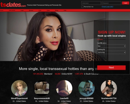 TsDates Logo